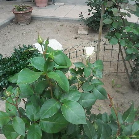 Perbacco Bed & Breakfast Sartirana Lomellina Exterior foto